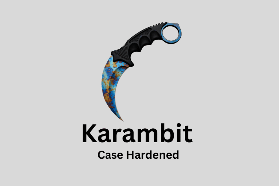 Karambit Case Hardened Blue Gem
